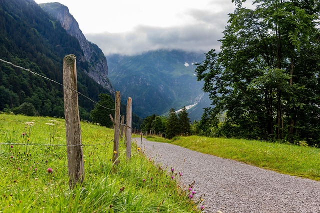 Breadcrumb Trail Schema