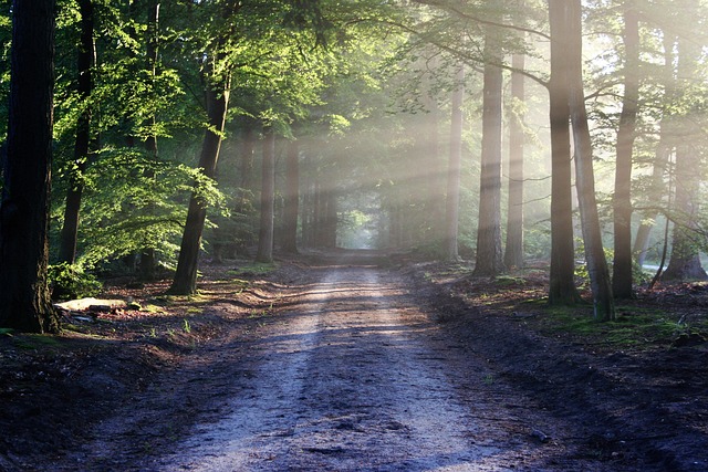 Breadcrumb Trail Schema