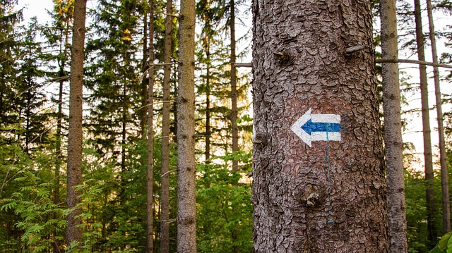 Breadcrumb Trail Schema