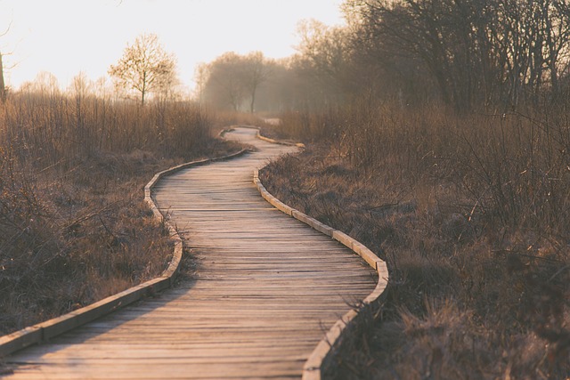 Breadcrumb Trail Schema