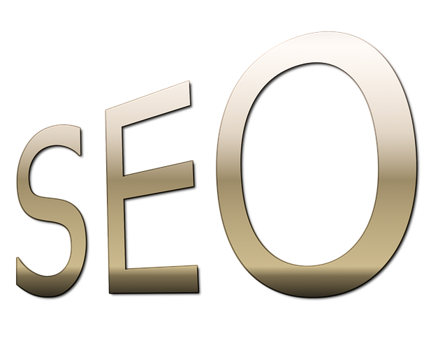 Budget-Friendly SEO Training
