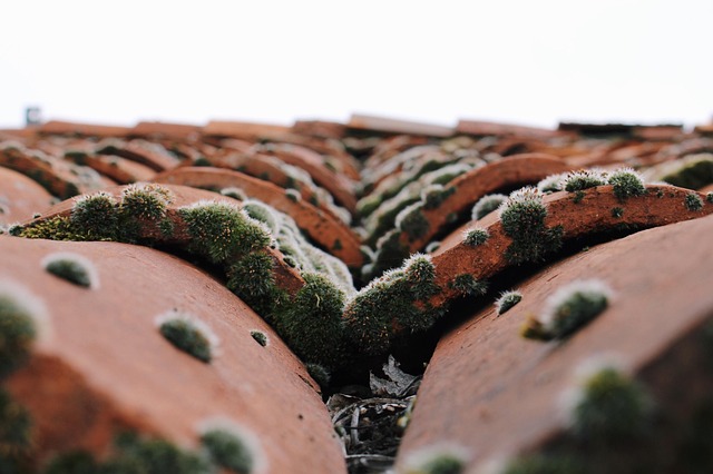 Unveiling Built-Up Roofing Systems for Commercial Buildings