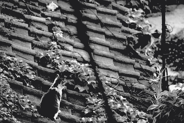 built-up roofing