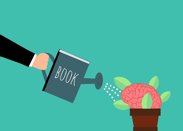 Business Info Schema