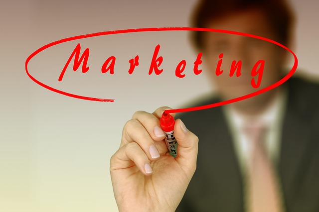 business-info-schema-640x480-24908061.jpeg