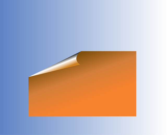 Business Info Schema