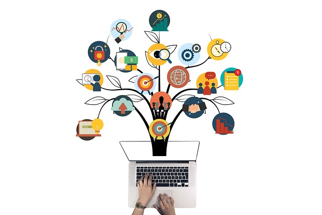 Business Info Schema