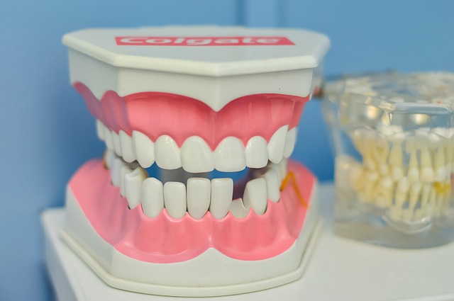 Mastering Insurance for Dental Offices: Comprehensive Coverage Strategies