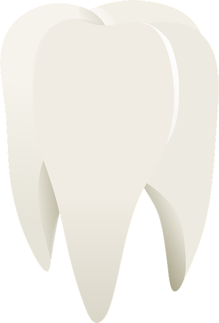 business insurance for dentists