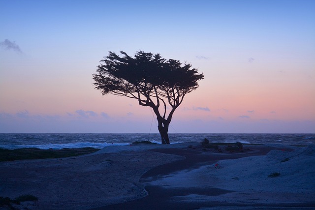 California divorce mediator