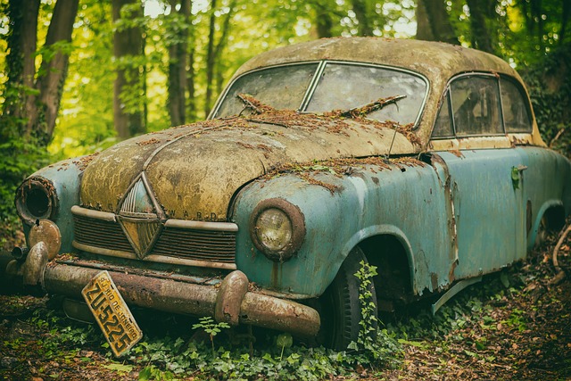 Car Insurance