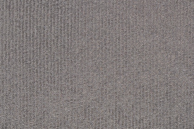 carpet cleaning companies Mesa