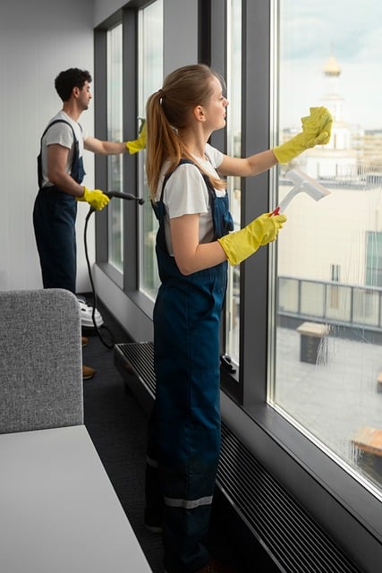 carpet cleaning companies Mesa