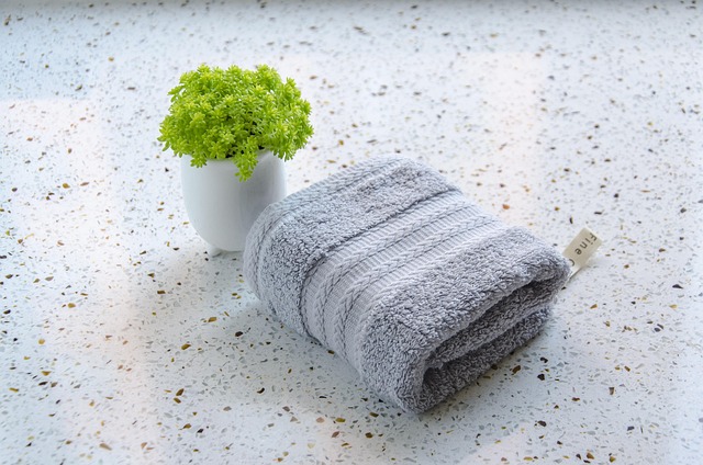carpet cleaning companies Mesa