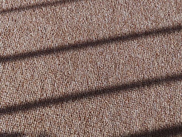 carpet deodorizing