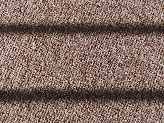 carpet deodorizing