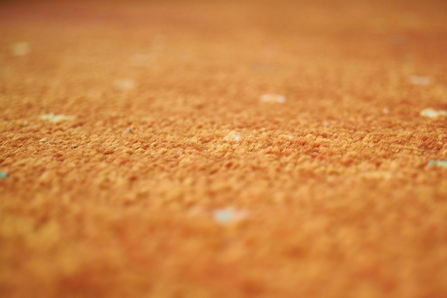 Freshen Carpets: Green Solutions for Unwanted Odors
