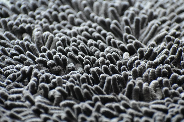 carpet freshening