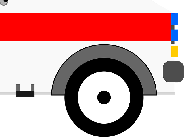 carpet odor removal service
