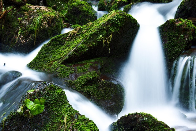 Eco-Friendly Carpet Cleaning in Queen Creek: Deep Results