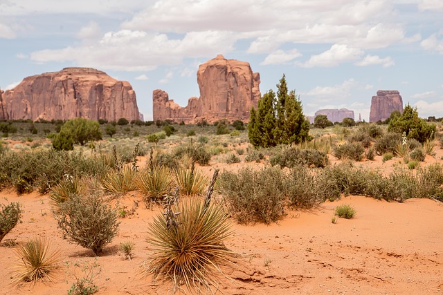 CBT therapy Scottsdale AZ