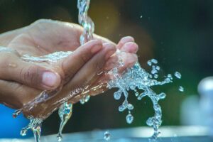 Citrus Bright: Eco-Friendly Carpet Cleaning for Healthier Homes in Chandler