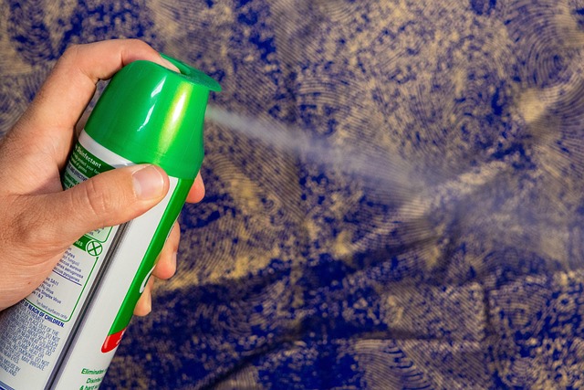 Chandler carpet cleaners