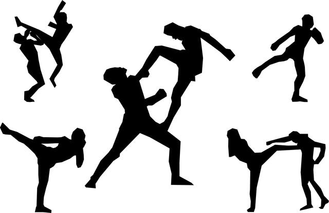 Chandler kickboxing gym