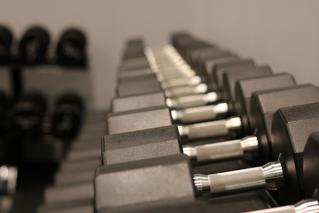 Chandler kickboxing gym