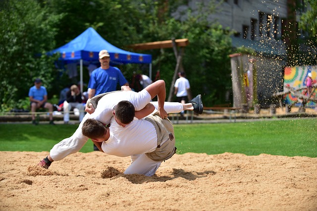 Chandler submission wrestling classes