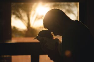 Mediated Parenting Plans: Tailored Schedules for Connected Families