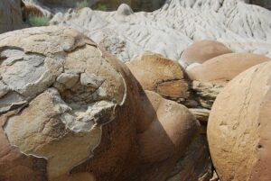 Navigating Round Rock’s Acupuncture Scene for Migraines & Stress Relief