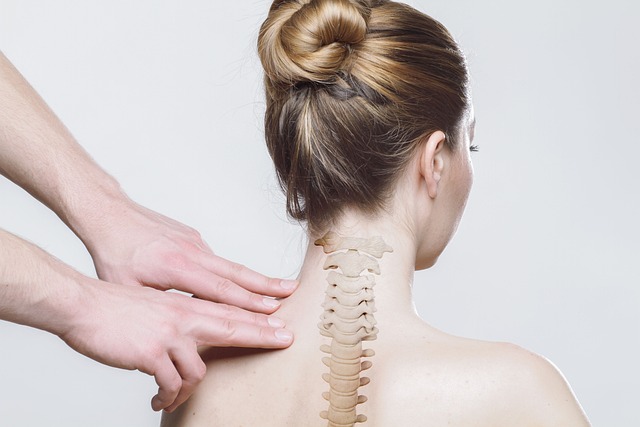 Streamline Chiropractic Call Handling for Stress-Free Scheduling