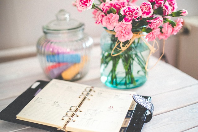 chiropractic patient scheduling