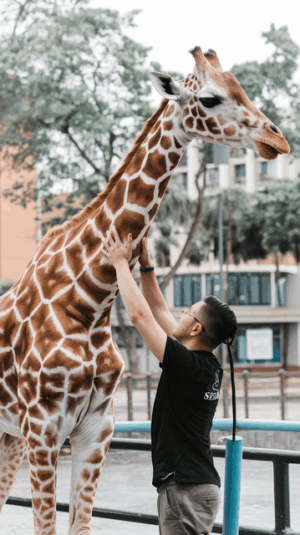 Optimizing Chiropractic Clinics: Streamlined Scheduling for Improved Patient Care