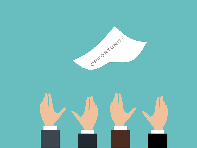 Choose an SEO Company