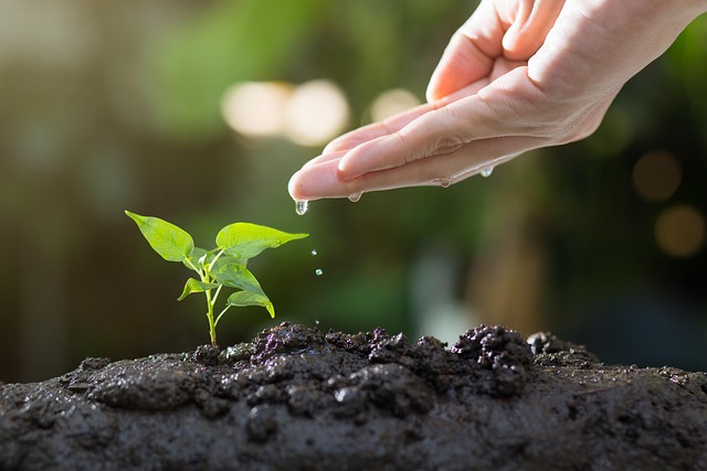 clinic lead nurturing