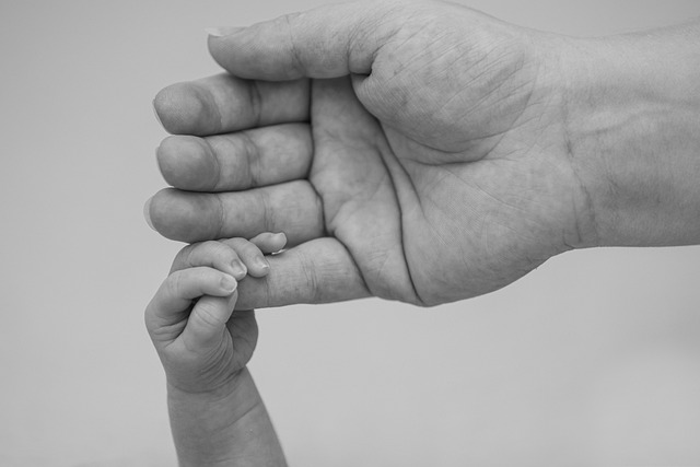 co-parenting mediation
