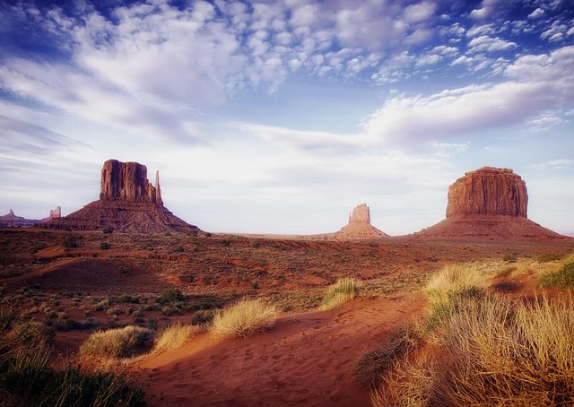 cognitive therapy Mesa