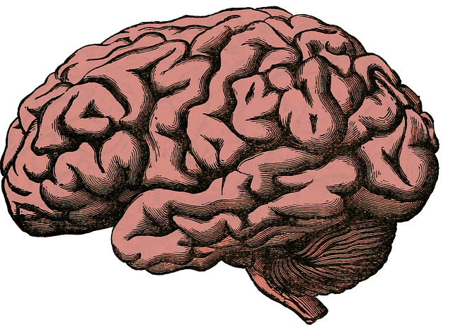 cognitive therapy Mesa