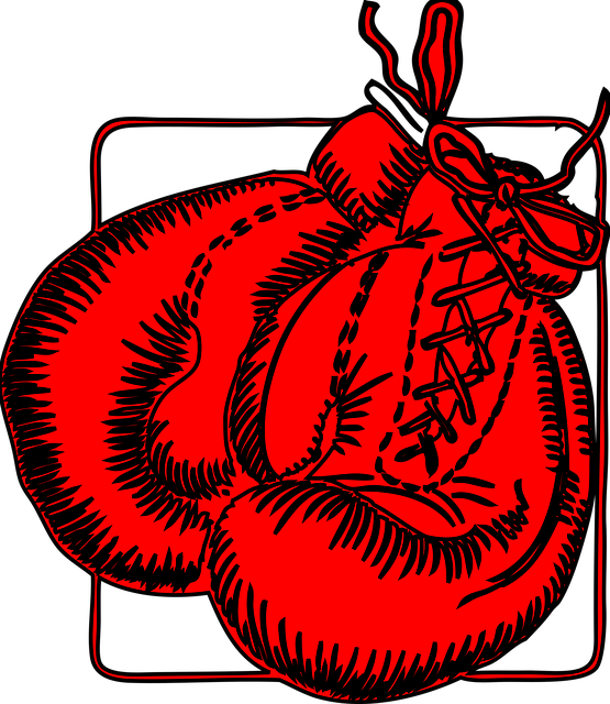 combat fitness Tempe