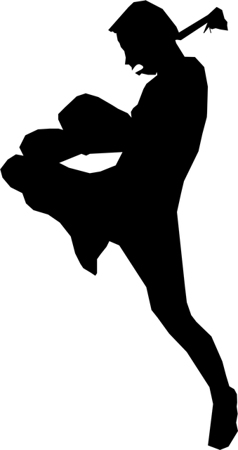 Combat Sports Tempe