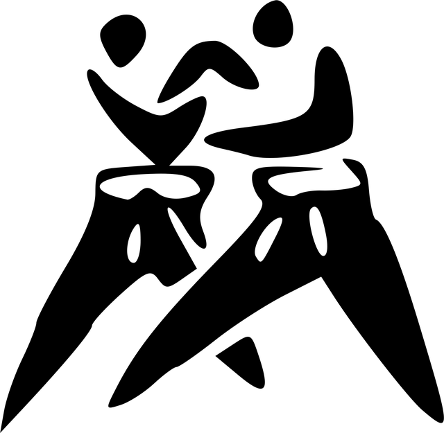 Combat Sports Tempe