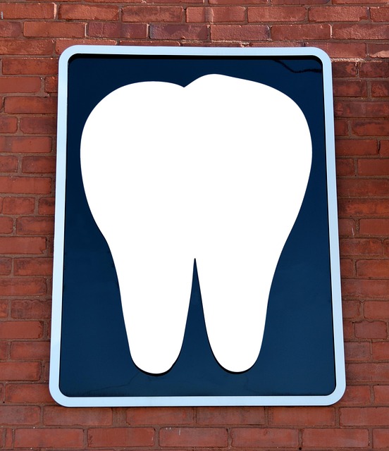 commercial insurance for dental offices