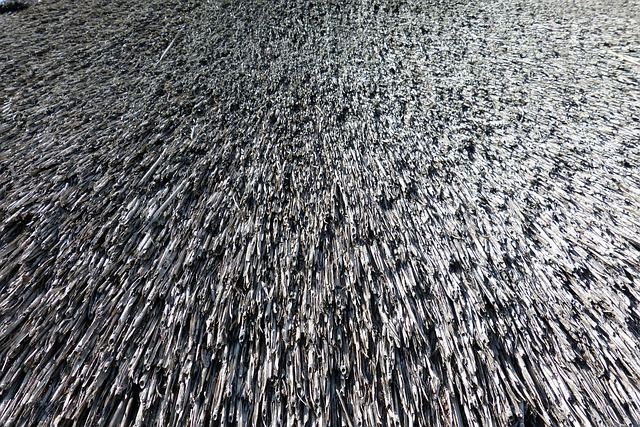 Unlocking Longevity: Commercial Roof Maintenance Secrets