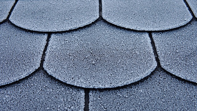 commercial roof maintenance near me