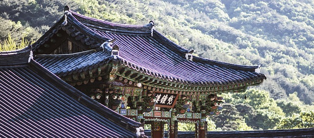 commercial roof replacement company