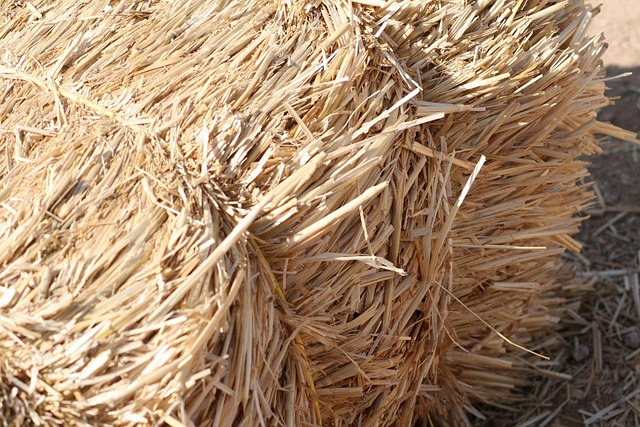 commercial roofing