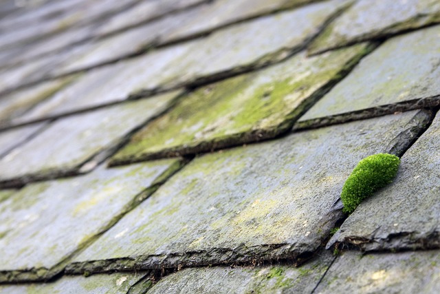 Unlocking Top Commercial Roofing Contractor Near Me