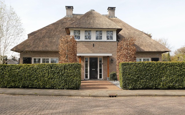 commercial roofing contractor company